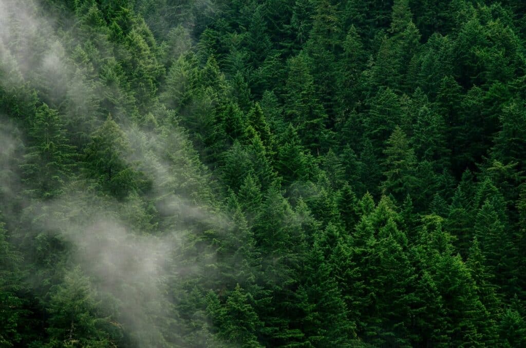 The Invisible Waste of Linear Growth