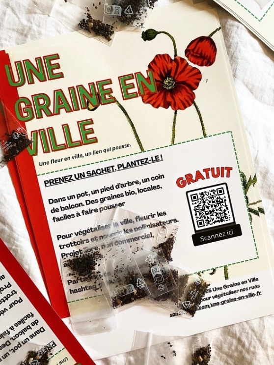 Une graine en ville 2025 - Samin Ghiasi