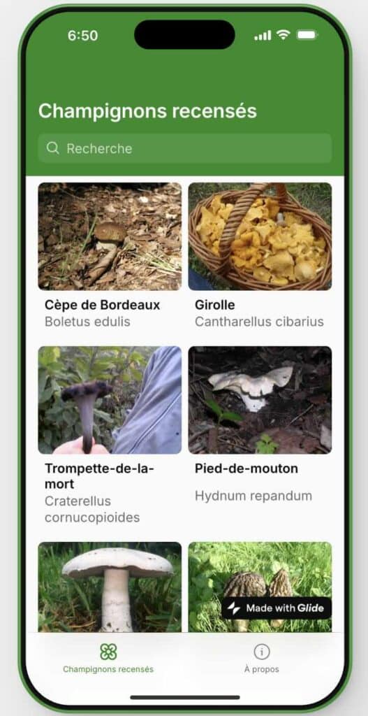 Spore du jour : Samin Ghiasi, micro-application à la découverte des champignons.